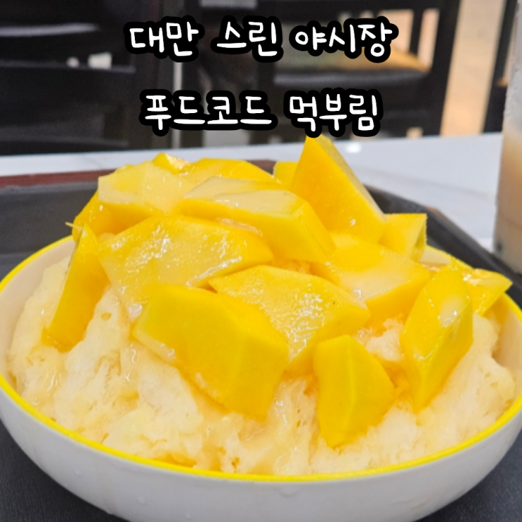 대만 타이베이 근교 스린 야시장 먹부림 (아이스크림 튀김, 족발, 망....