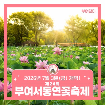 낭만적인 부여 여름축제 | 제 24회 부여서동연꽃축제