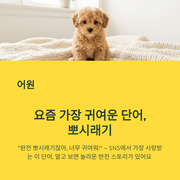 뽀시래기 뜻과 유래 총정리 | 알고 보면 '부스러기'의 전라도...