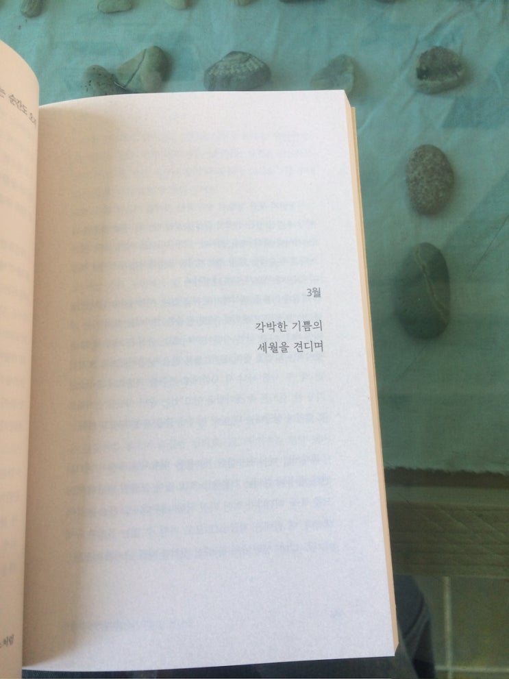 3월의 제주  .☘︎ ˖꙳