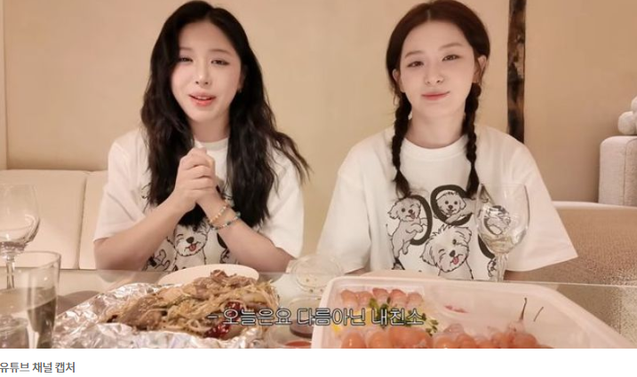 유튜버 수키진(본명 강수진) 비보…레드벨벳 슬기 사촌동생...