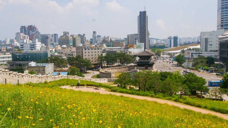 낙산공원 이화마을 그리고  장수마을과 삼선공원(서울 종로구, 성북....