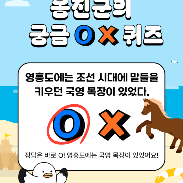 비행기 활주로만큼 신기한 역사! 조선 시대 왕실의 말을 키우던 영흥도 국마장 이야기