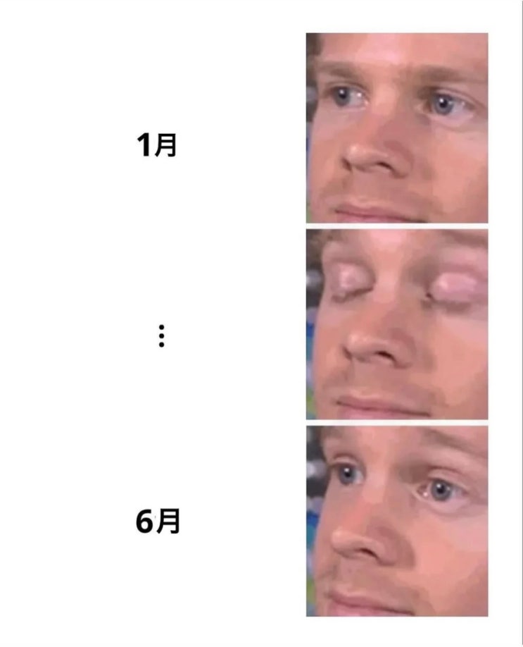 대충 살자 했는데 또 진심이었다!