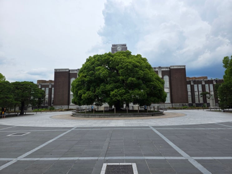 교토대학교 京都大学