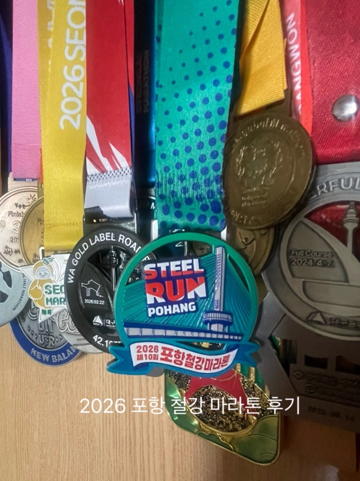 해오름 대교 위를 달리는 2026 제10회 포항철강마라톤 후기