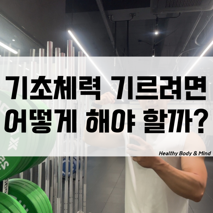 기초체력기르기 위한 체력기르는방법 운동 3가지만 기억하자
