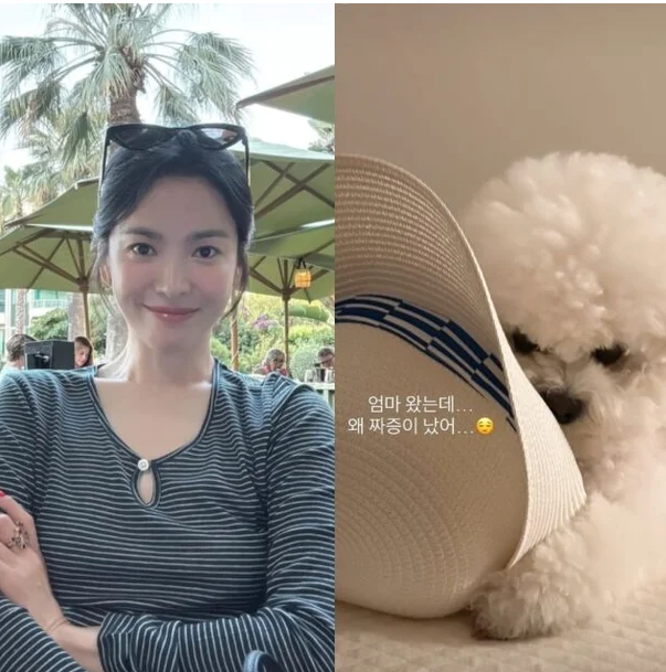 송혜교도 결국 엄마라서…귀국 첫 스케줄은 6세 딸 달래기