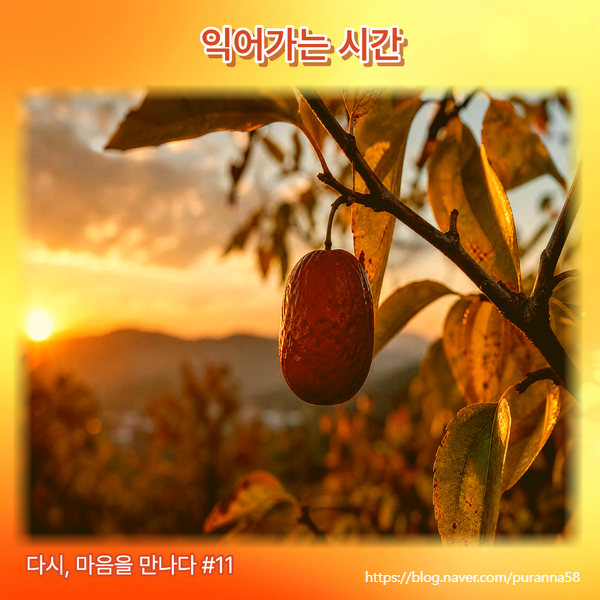 저절로 익는 것은 없다 − 장석주 시 이 남긴 물음 앞에서 : 네이버 블로그