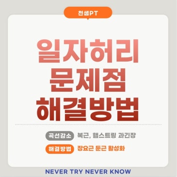 일자허리 원인 해결방법 네이버 블로그 대표 이미지