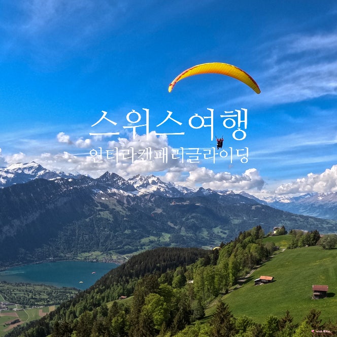 스위스 여행 인터라켄 패러글라이딩 체험 예약 할인 팁