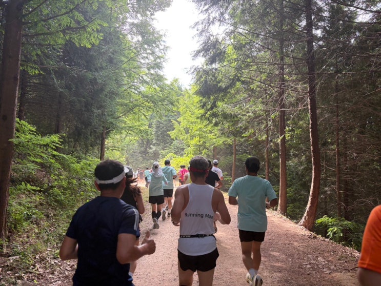 2026 김해숲길마라톤 10km 완주 후기