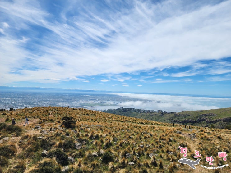 뉴질랜드 크라이스트처치 휠체어여행 Christchurch Gondola 가격 정보