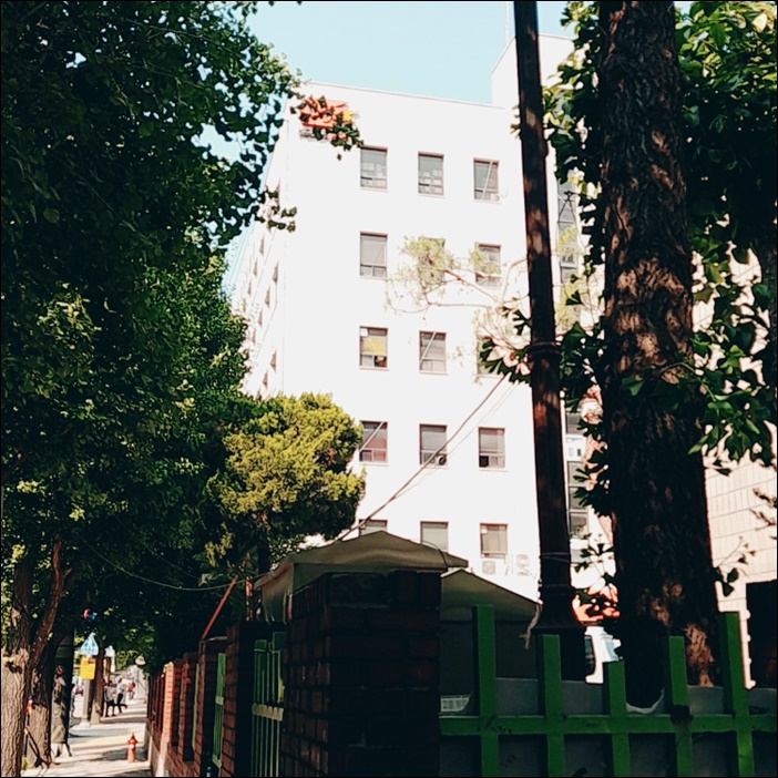 블랙핑크 우표 전지 사이즈로 우체국 가서 구매, 이럴거면...
