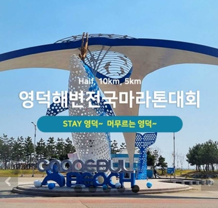 "여행 왔다가 심장까지 뛰었다!!! 영덕해변전국마라톤대회...뜨거운 현장에 빠져들다"
