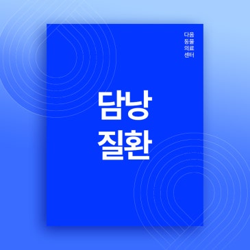 복대동 동물병원 강아지 구토 복통 원인, 담낭질환