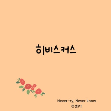 히비스커스 네이버 블로그 대표 이미지