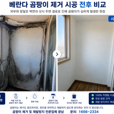 베란다 곰팡이 제거, 방치된 결로로 인해 심해진 곰팡이 시공 사례