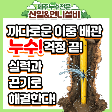 까다로운 이중 배관 제주누수 걱정 끝! 꼼꼼함으로 승부하는 여성누수 전문가의 현장