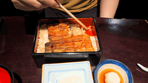 [도쿄 맛집] 150년 전통의 장어맛집 | 고다이메 노다이와