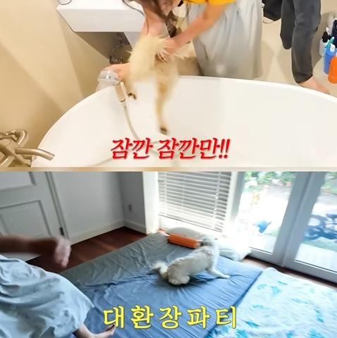 "이름 반대로 지은 줄" 황정음, 반려견 예준이·예빈이 사연 다시 꺼냈다