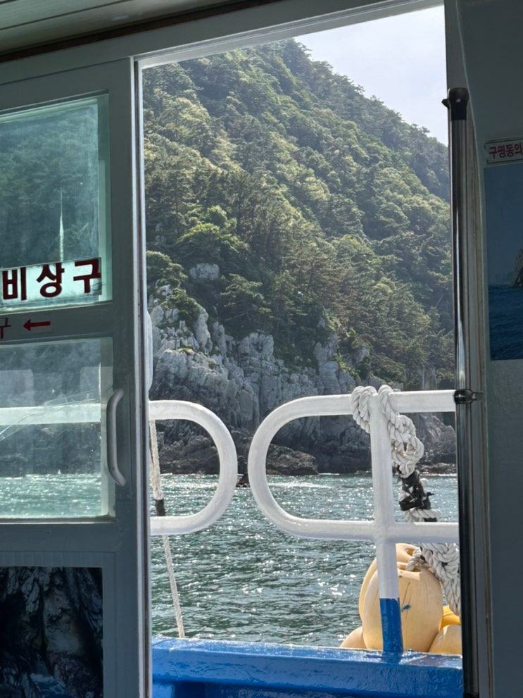 부산 태종대 유람선 - 태종대 반바퀴 돌아보는 태원유람선 내돈내산....