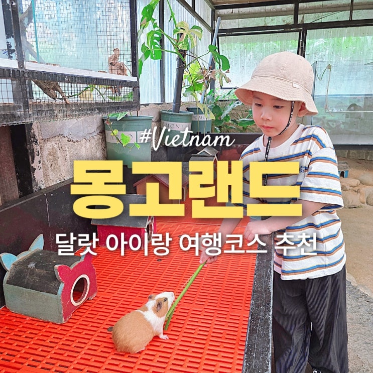 달랏여행 6세 아이와 다녀온 달랏 몽고랜드 베트남 여행 추천