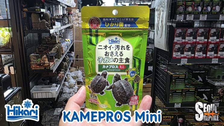 어린 반수생 거북이를 위한 프리미엄 먹이 사료 제품! 히카리 카메프로스 미니 Hikari Kamepros Mini カメプロス ...