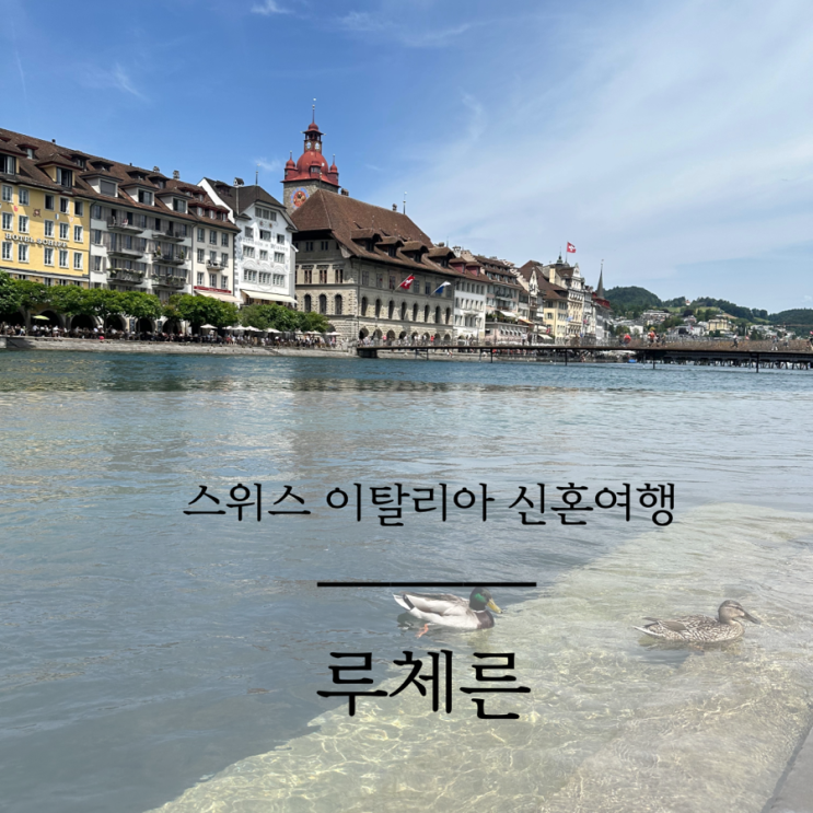 루체른역 짐보관 빈사의 사자상 등 당일치기 여행 후기