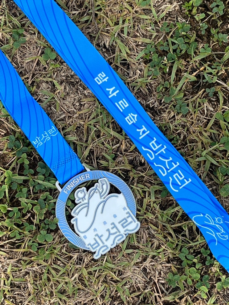 2026 밤섬런🌚🏝️🏃🏻‍♀️ 5km 후기 및 정보