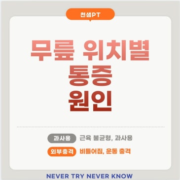 무릎 위치별 통증 원인 네이버 블로그 대표 이미지