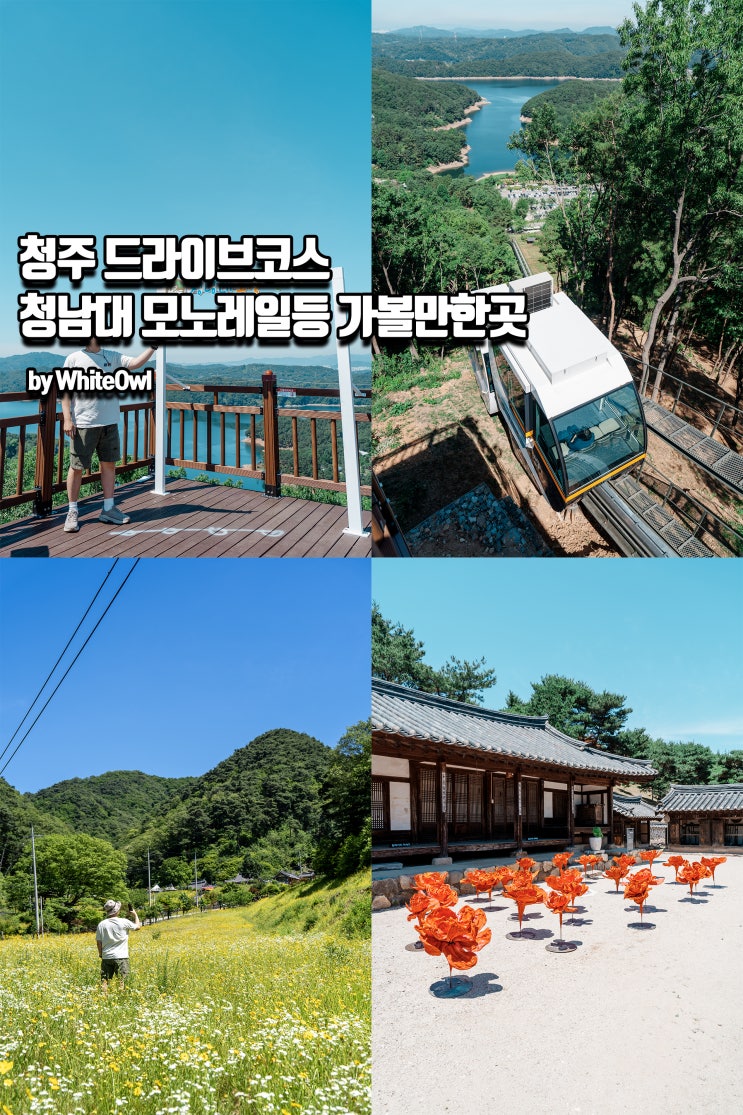 청주 가볼만한곳 청남대 모노레일 및 금계국 명소 등 드라이브 코스 : 네이버 블로그