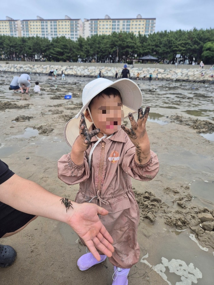 부산 명지 아이랑 가볼만한 곳 소담공원 무료 갯벌체험 게 잡기 성....