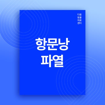 세종 조치원 동물병원 강아지 항문낭파열, 엉덩이 피고름 원인