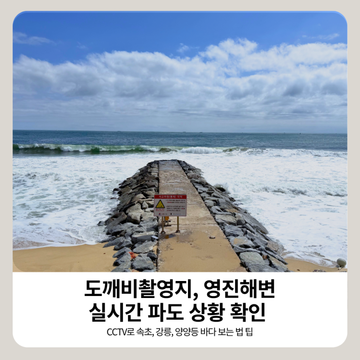 주문진 영진해변 도깨비 촬영지 실시간 파도 상태 (CCTV로 속초, 강릉....