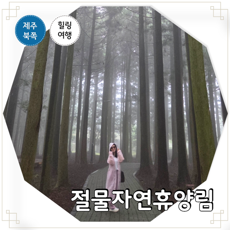 제주도 비오는날 갈만한곳 제주 절물자연휴양림 숲길