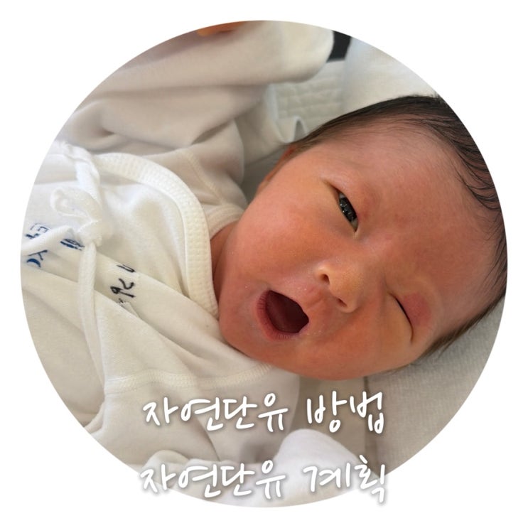 [육아정보]자연 단유 방법, 단유 계획, 분유 수유량 계산ㅣ혼합 수유에서 완분으로