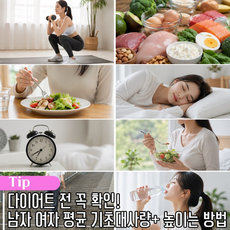 다이어트 전 꼭 확인! 남자 여자 평균 기초대사량 높이는 방법 7가지