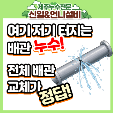 제주도누수 이도이동 빌라 수도 배관 전면 교체로 골칫거리 해결!(누수보험꿀팁!일상생활배상책임)