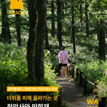 한여름에도 시원한 정선 피서 명소 || 정암사와 만항재