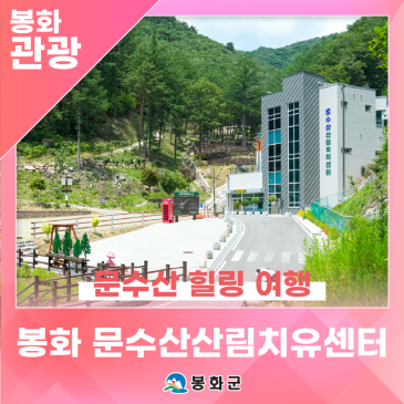 '봉화 문수산 산림치유센터' 힐링 여행, 숲속 명상과 족욕으로 몸과 마음을 쉬어가는 곳 | 제1기 봉화군 정책공감 서포터즈 이정우님