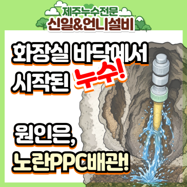 제주도누수 오라동 빌라 화장실 바닥에서 찾은 범인! 노후된 PPC배관의 비밀과 완벽 해결법!