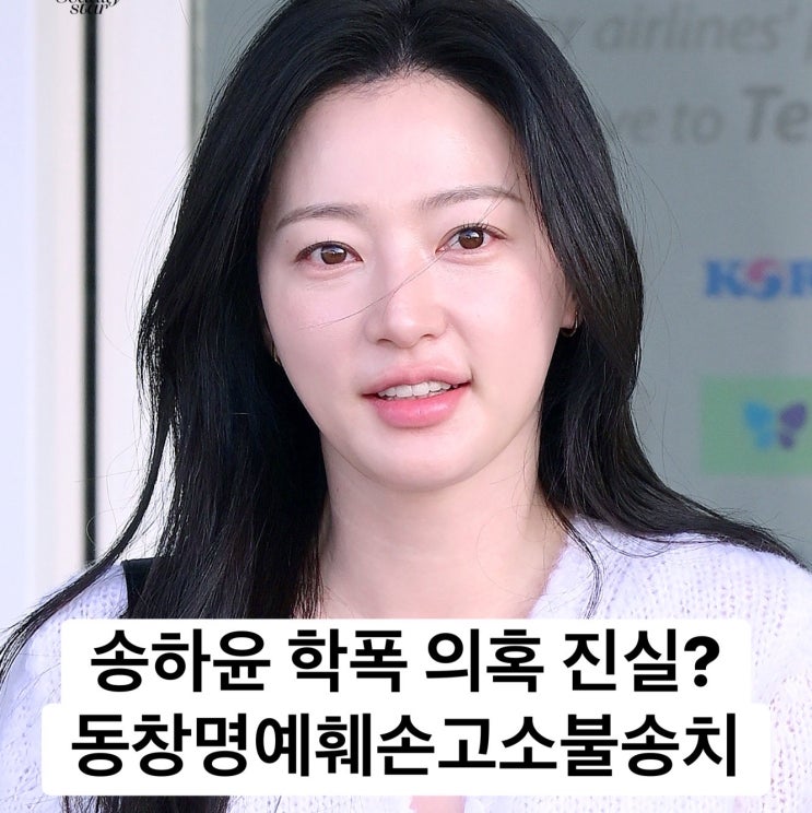 송하윤 근황 졸업 사진 86년생 송하윤 김미선 동창 명예훼손 고소 6개월 수사 끝 나온 결론 불....