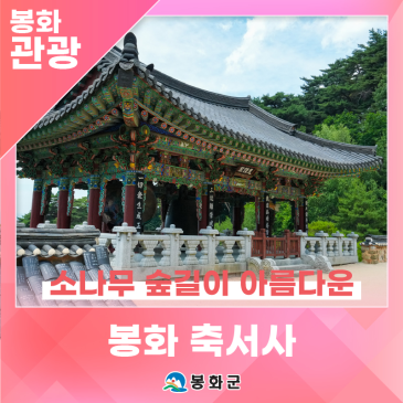소나무 숲길이 아름다운 '봉화 축서사' | 제1기 봉화군 정책공감 서포터즈 이정우님