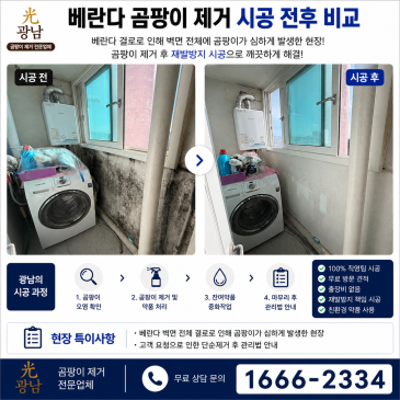 베란다 결로 곰팡이 제거 시공 사례｜고객 요청에 따른 단순 제거 진행