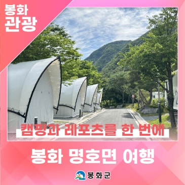 청량산과 낙동강을 품은 '봉화 명호면 여행', 캠핑과 레포츠를 한 번에 | 제1기 봉화군 정책공감 서포터즈 김수정님