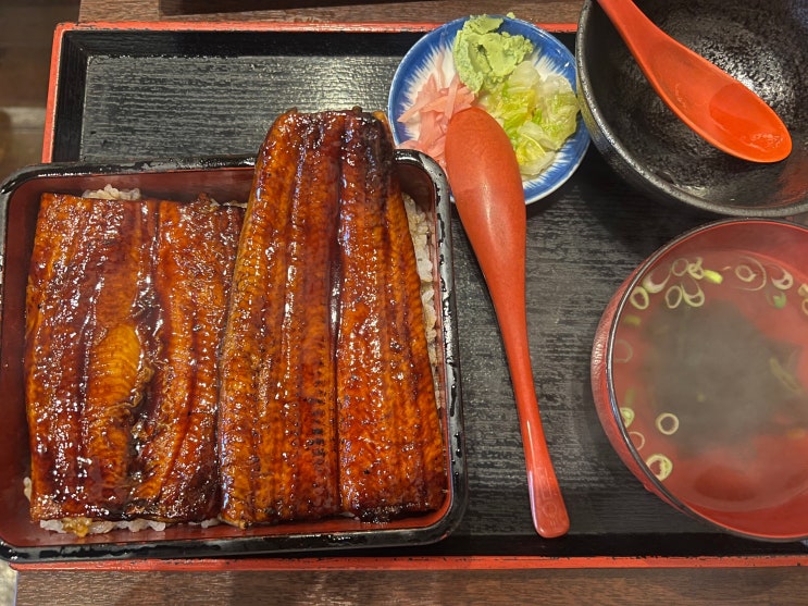 니혼바시 마루에이 (장어덮밥 맛집) 대기 없이 먹는 법