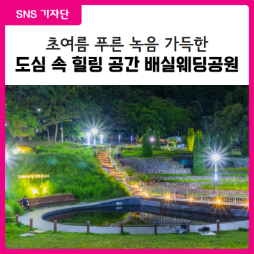 [대구 달서구 SNS 기자단] 초여름의 녹음 가득한 배실웨딩공원 저녁 산책 코스 추천