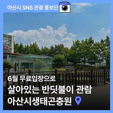 아산시생태곤충원 6월 무료입장에 진짜 살아있는 반딧불이 관람까지