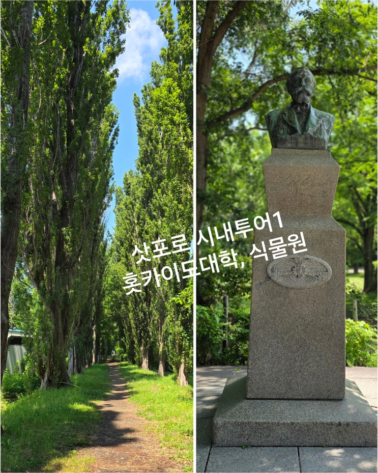 삿포로 시내투어 1 - 홋카이도대학, 홋카이도대식물원